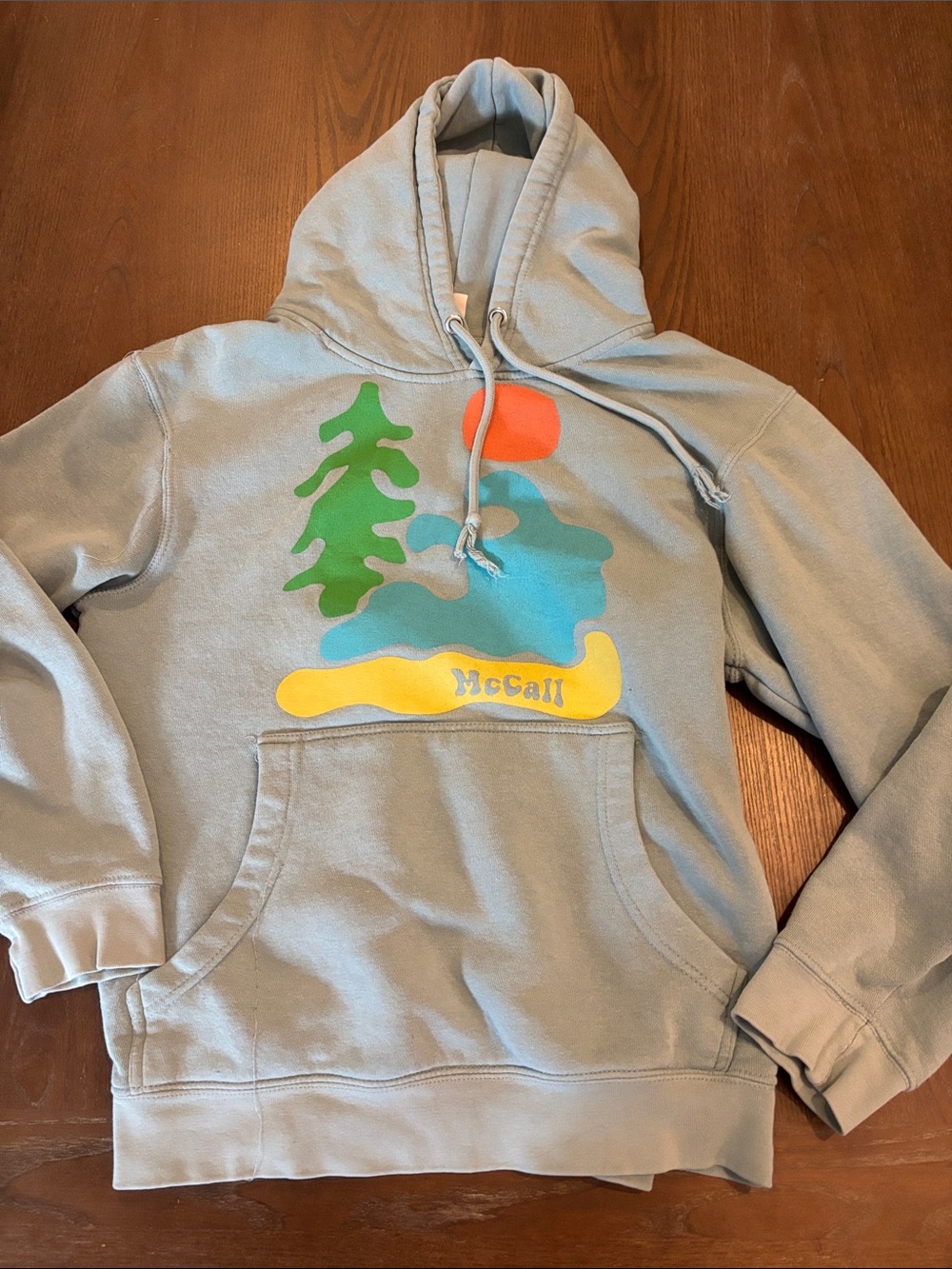 Lane Seven McCall Idaho Blue green Graphic Hoodie with Nature Print. Women’s Sm